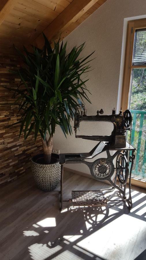 Ferienhaus Saxenauer ヒンターシュトダー エクステリア 写真