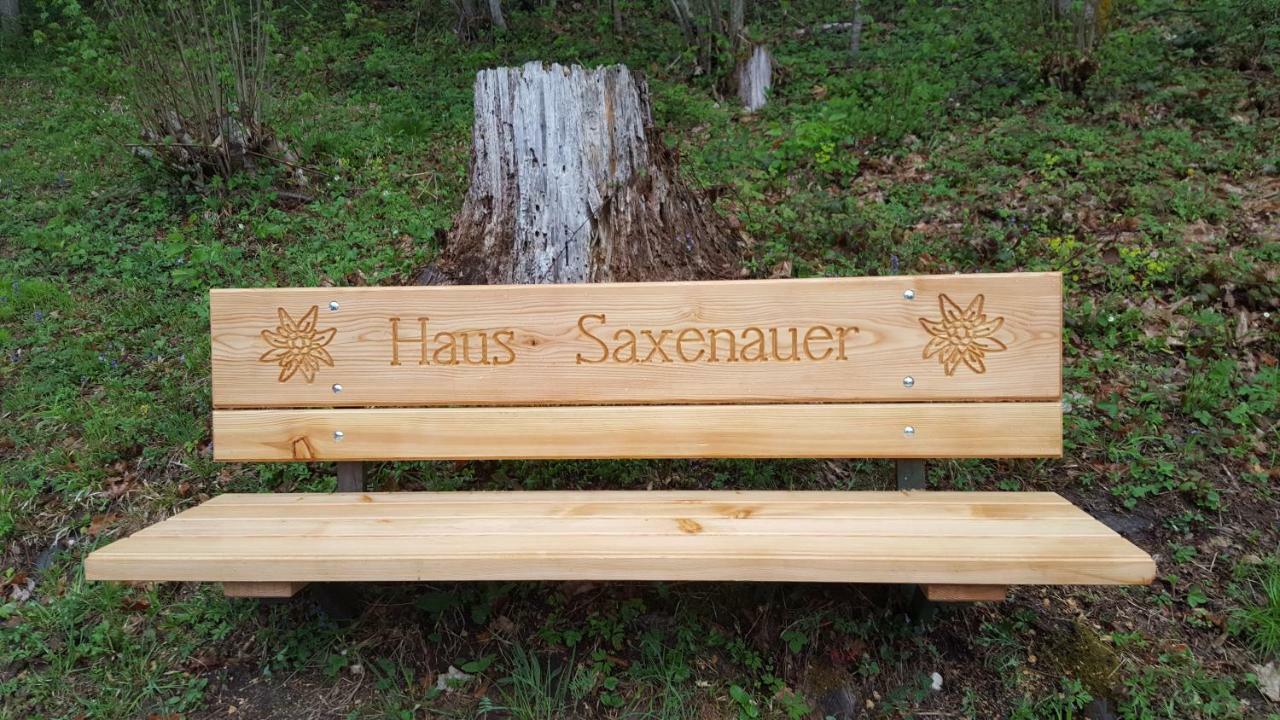 Ferienhaus Saxenauer ヒンターシュトダー エクステリア 写真